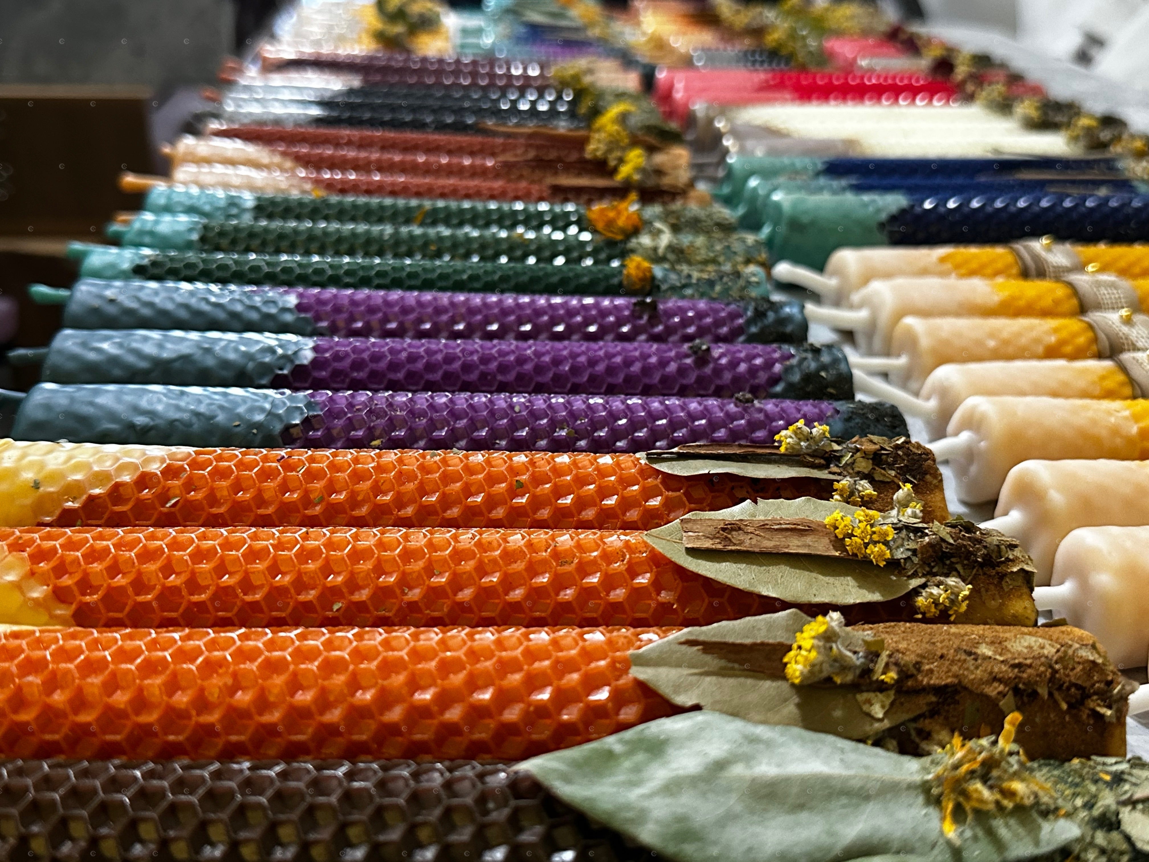 Translation missing: en.LIMPIEZA, CORTE &amp; RENOVACIÓN: LIMPIEZA, CORTE & RENOVACIÓN