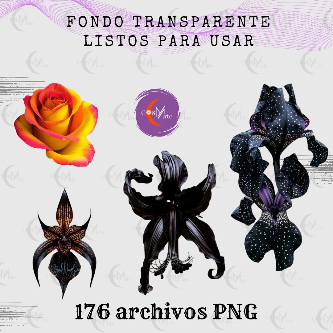 Colección Botánica Mística – 176 Imágenes Prediseñadas PNG de Flores y Cactus | Arte Digital para Planners y Diseño