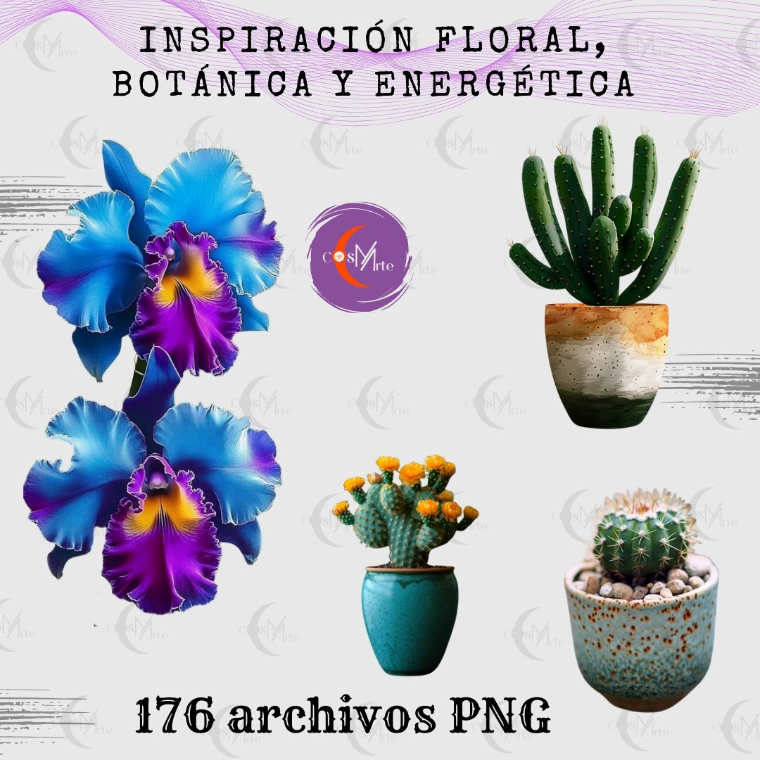 Colección Botánica Mística – 176 Imágenes Prediseñadas PNG de Flores y Cactus | Arte Digital para Planners y Diseño