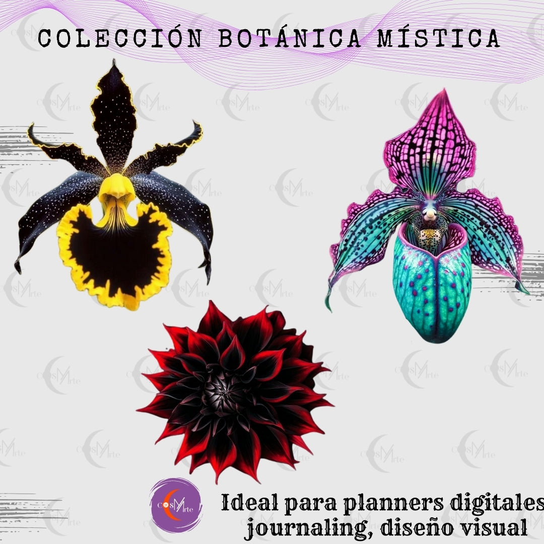 Colección Botánica Mística – 176 Imágenes Prediseñadas PNG de Flores y Cactus | Arte Digital para Planners y Diseño